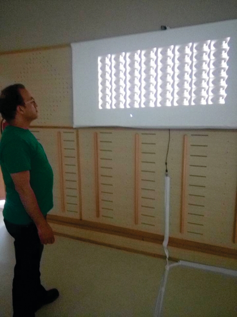 Installation BIG BROTHER — vue d'exposition